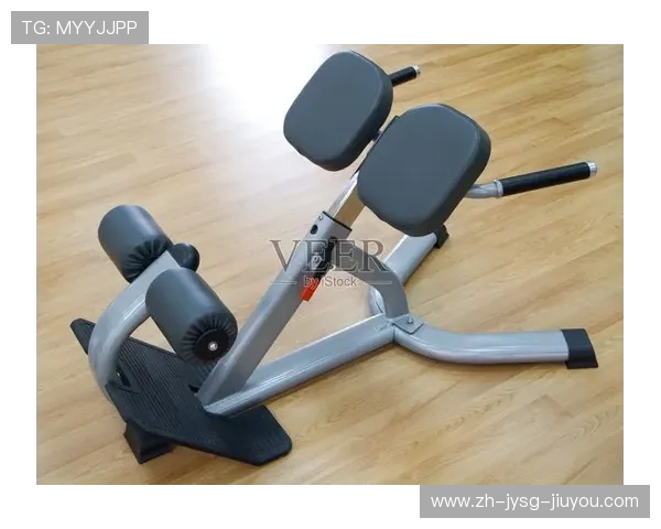 阳锐健身器材官网精选标题合集：